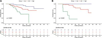 Survival benefit of preoperative hepatic arterial infusion of oxaliplatin, fluorouracil, and <mark class="highlighted">leucovorin</mark> followed by hepatectomy for hepatocellular carcinoma